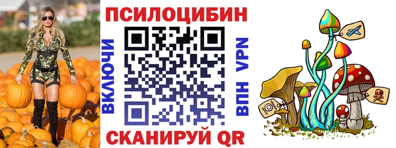 купить   Мамадыш  Галлюциногенные грибы Psilocybe 